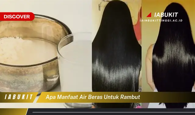 apa manfaat air beras untuk rambut