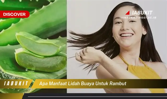 apa manfaat lidah buaya untuk rambut