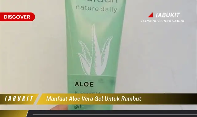 manfaat aloe vera gel untuk rambut