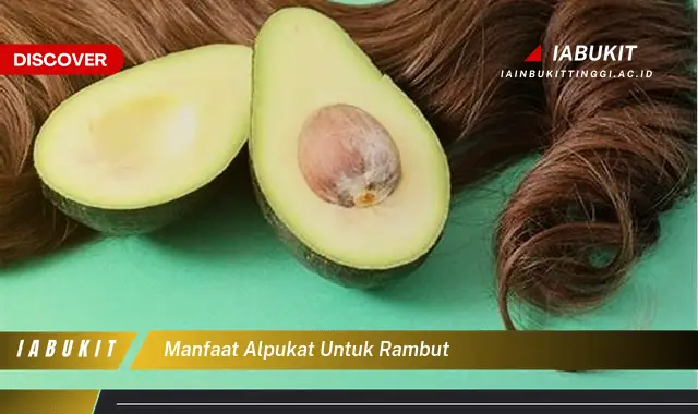 manfaat alpukat untuk rambut