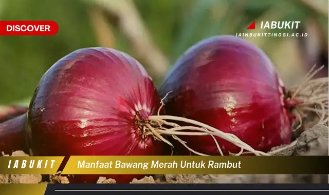 manfaat bawang merah untuk rambut