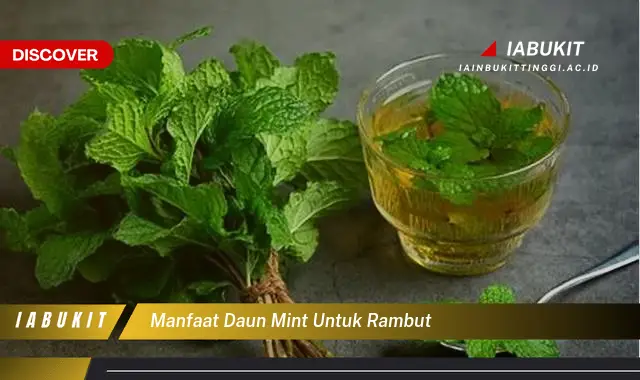 manfaat daun mint untuk rambut