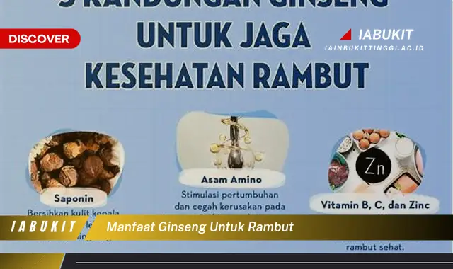 Temukan 7 Manfaat Ginseng untuk Rambut yang Bikin Kamu Penasaran! - Discover