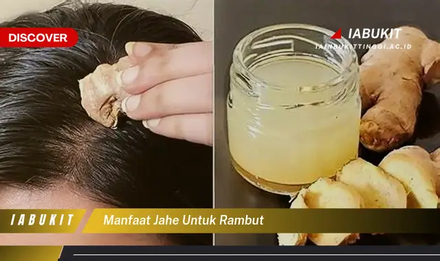 manfaat jahe untuk rambut