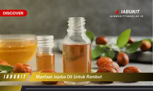 manfaat jojoba oil untuk rambut