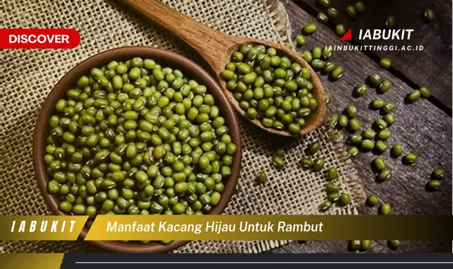 manfaat kacang hijau untuk rambut