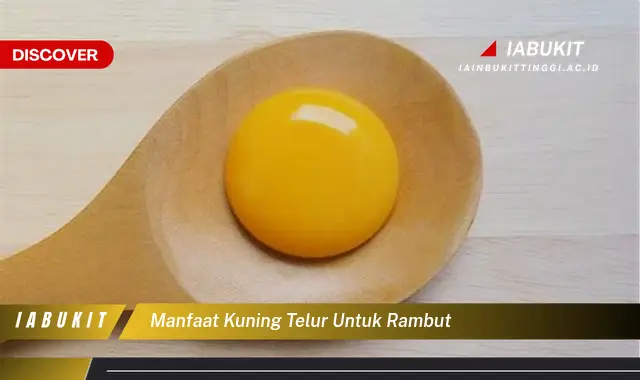 manfaat kuning telur untuk rambut