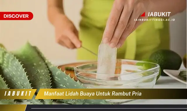 manfaat lidah buaya untuk rambut pria