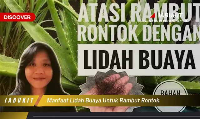 manfaat lidah buaya untuk rambut rontok