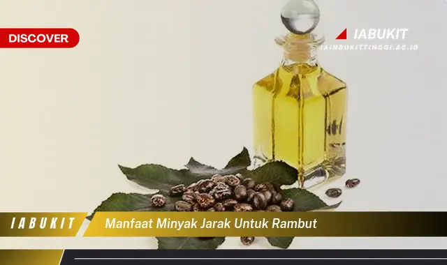 manfaat minyak jarak untuk rambut