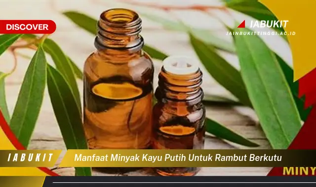 manfaat minyak kayu putih untuk rambut berkutu