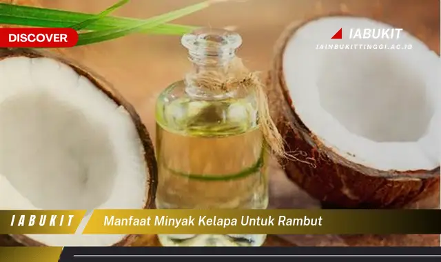 manfaat minyak kelapa untuk rambut