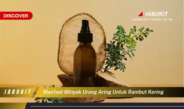 Ketahui 7 Manfaat Minyak Urang Aring untuk Rambut Kering yang Jarang Diketahui