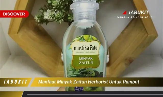 manfaat minyak zaitun herborist untuk rambut