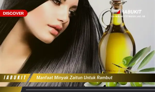 manfaat minyak zaitun untuk rambut