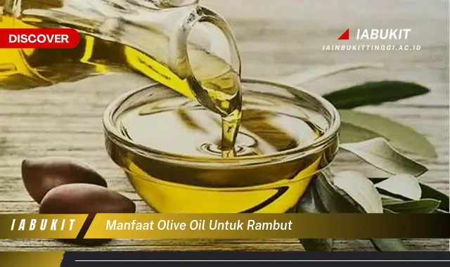 manfaat olive oil untuk rambut