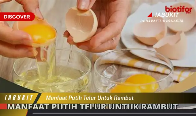 7 Manfaat Putih Telur Untuk Rambut Yang Jarang Diketahui Bikin Kamu