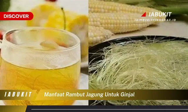 manfaat rambut jagung untuk ginjal