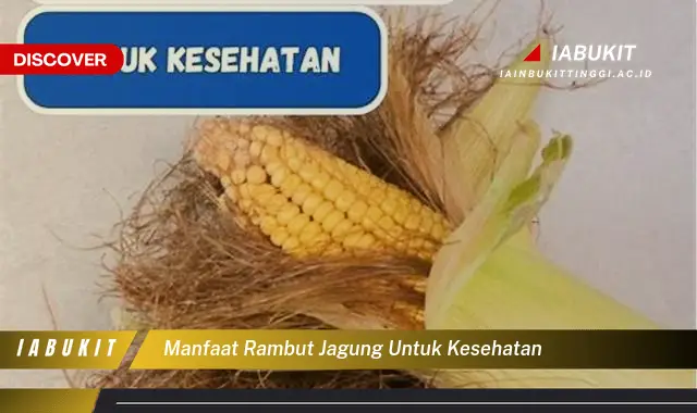 manfaat rambut jagung untuk kesehatan