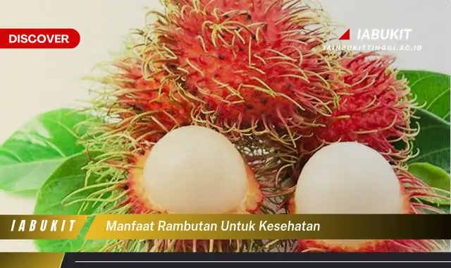 Ketahui Manfaat Rambutan untuk Kesehatan, Bikin Kamu Penasaran