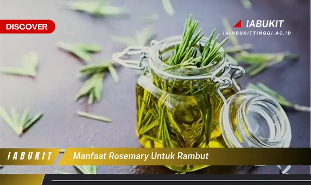 manfaat rosemary untuk rambut