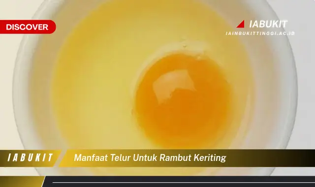 manfaat telur untuk rambut keriting