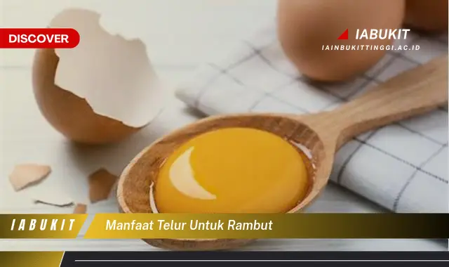 manfaat telur untuk rambut manfaat telur untuk rambut
