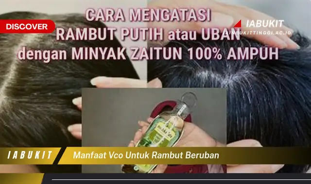 manfaat vco untuk rambut beruban