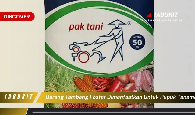 barang tambang fosfat dimanfaatkan untuk pupuk tanaman karena