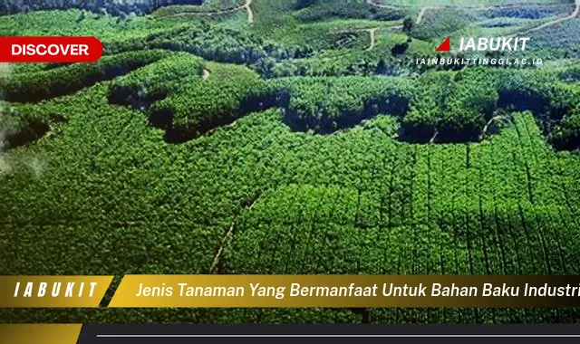 jenis tanaman yang bermanfaat untuk bahan baku industri adalah