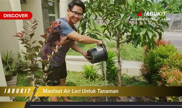 manfaat air leri untuk tanaman