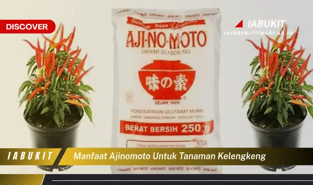 manfaat ajinomoto untuk tanaman kelengkeng