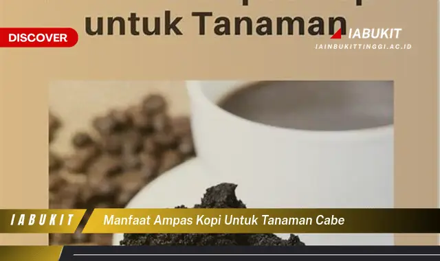 manfaat ampas kopi untuk tanaman cabe