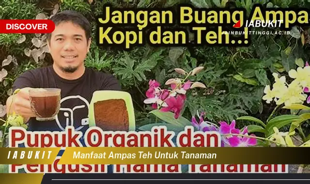 manfaat ampas teh untuk tanaman