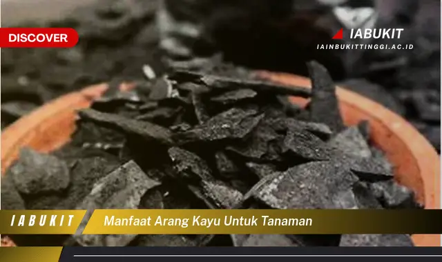 manfaat arang kayu untuk tanaman