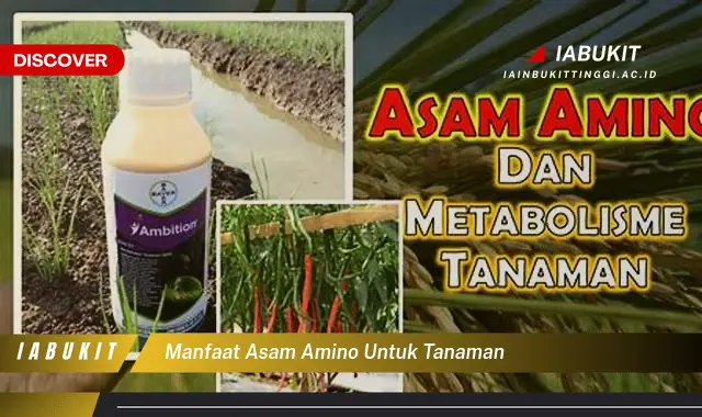 manfaat asam amino untuk tanaman