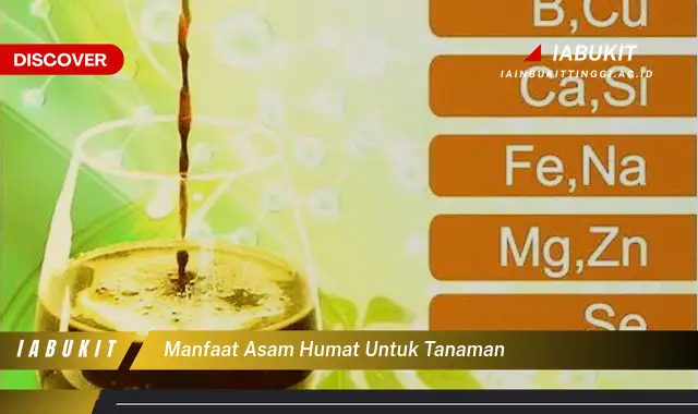 manfaat asam humat untuk tanaman