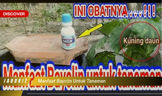 manfaat bayclin untuk tanaman