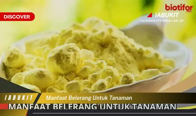 Temukan 7 Manfaat Rahasia Belerang Untuk Tanaman Yang Bikin Kamu