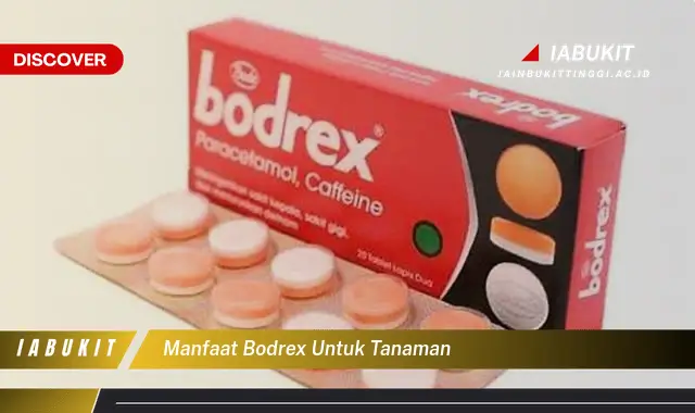 manfaat bodrex untuk tanaman