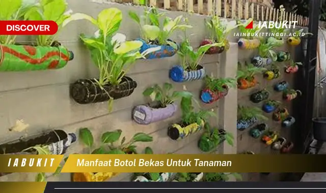 manfaat botol bekas untuk tanaman