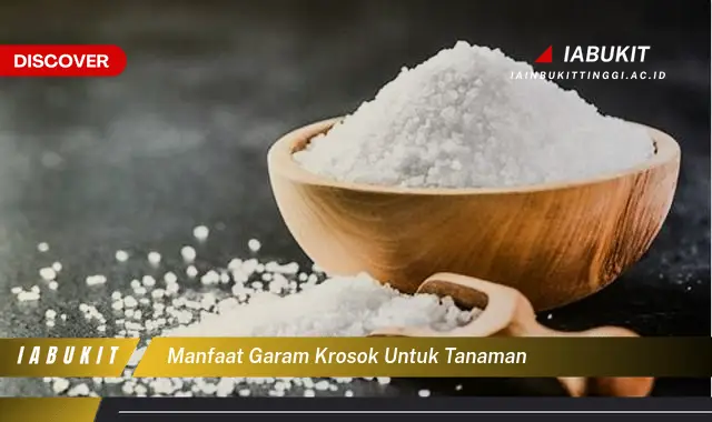 manfaat garam krosok untuk tanaman