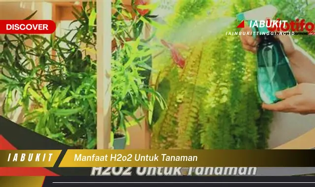 manfaat h2o2 untuk tanaman