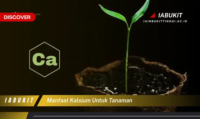 manfaat kalsium untuk tanaman