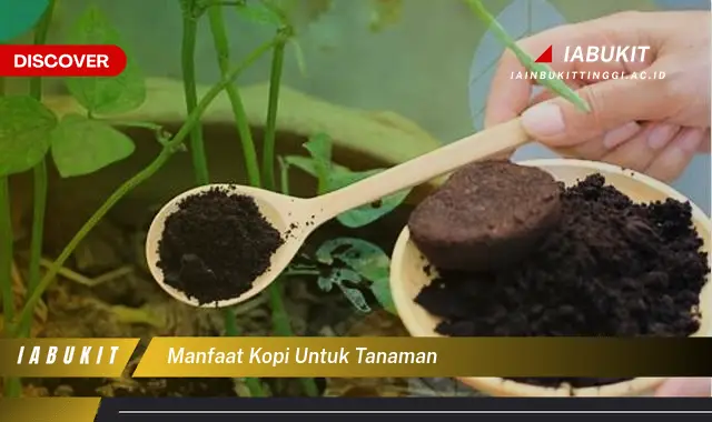 manfaat kopi untuk tanaman