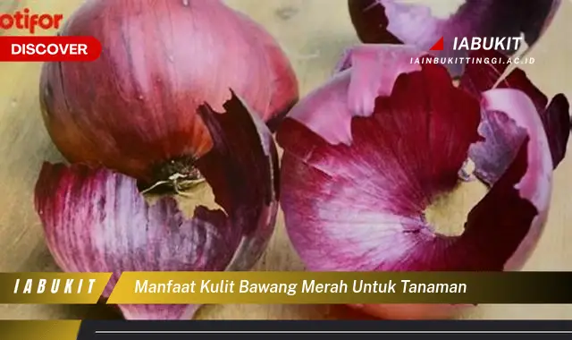 Ketahui Manfaat Kulit Bawang Merah untuk Tanaman yang Jarang Diketahui