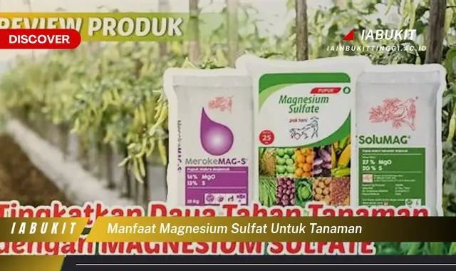 manfaat magnesium sulfat untuk tanaman