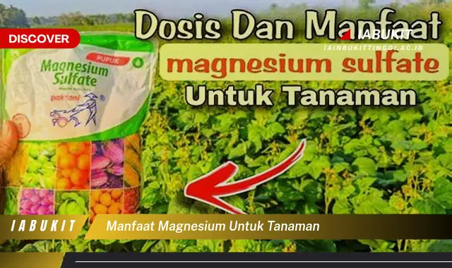 manfaat magnesium untuk tanaman