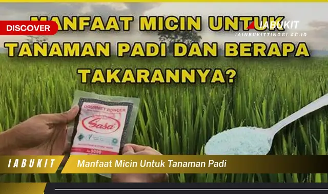 manfaat micin untuk tanaman padi