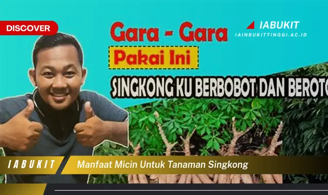 manfaat micin untuk tanaman singkong